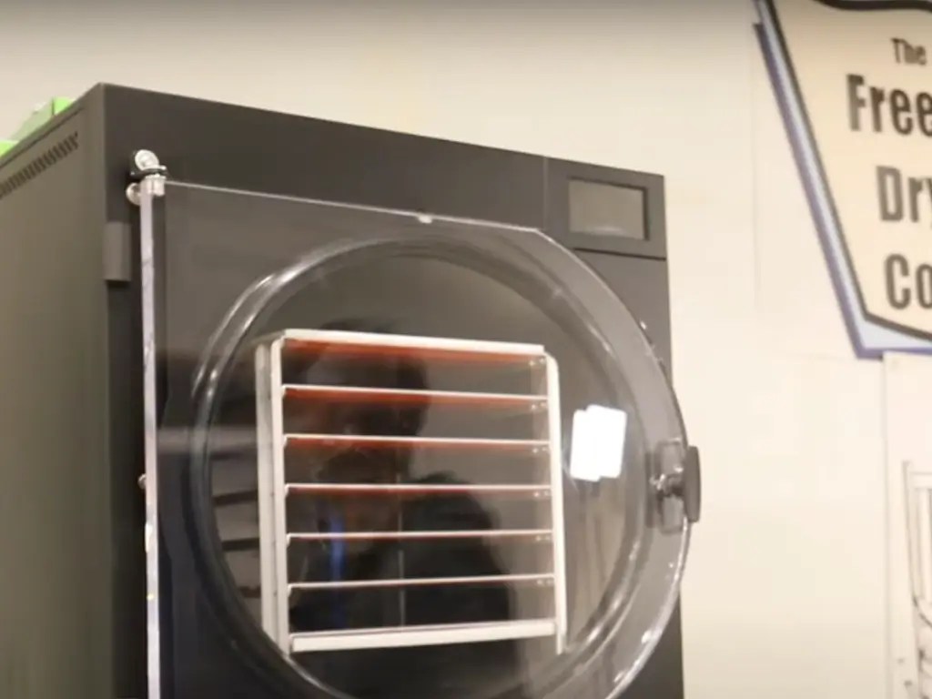 Freeze Dryer vs Dehydrator A Complete Comparison Guide