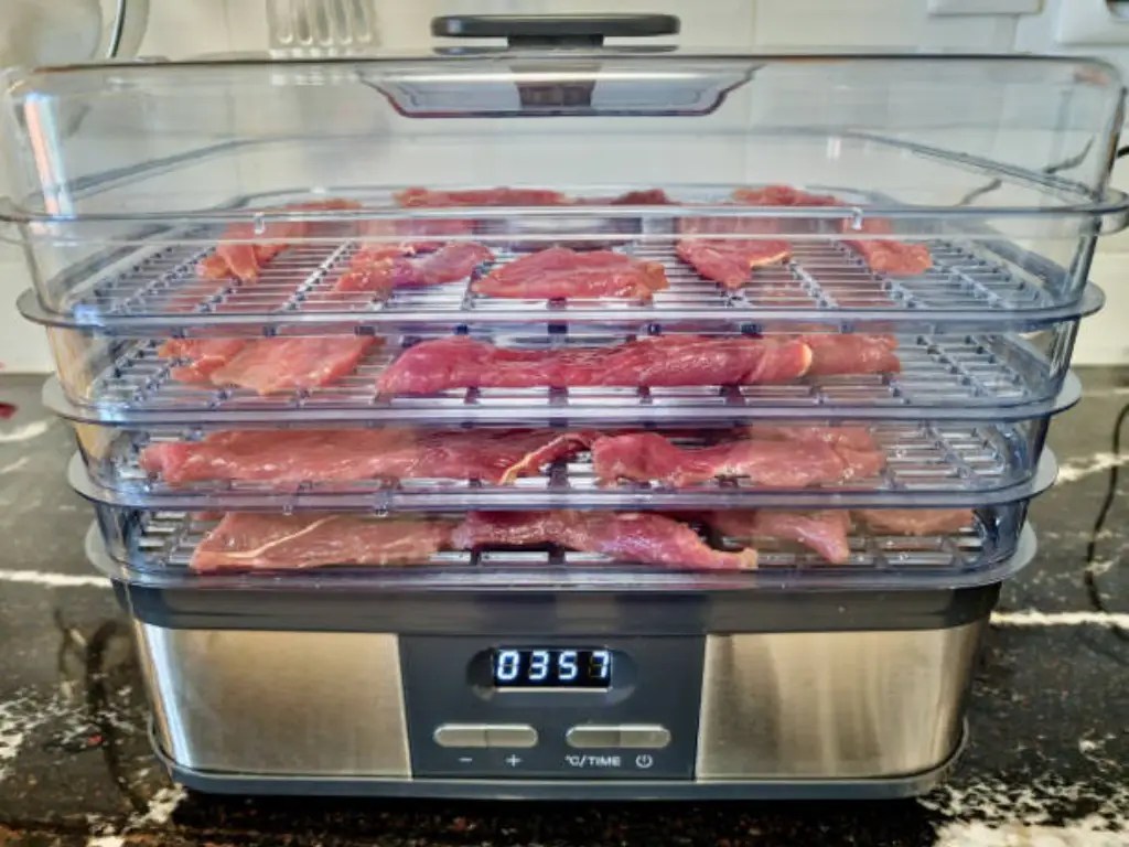 Freeze Dryer vs Dehydrator A Complete Comparison Guide