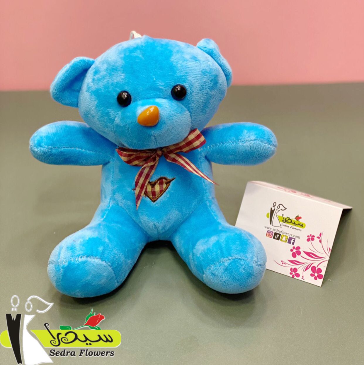 Baby Blue Bloom Sedra Flowers