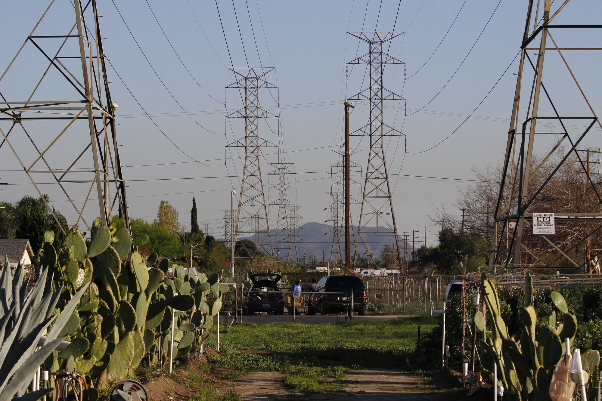 Farming On The Land Under Power Lines, Arleta, California, USA See