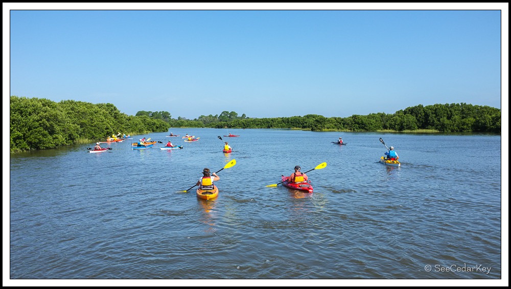 Kayaking Cedar Key SeeCedarKey