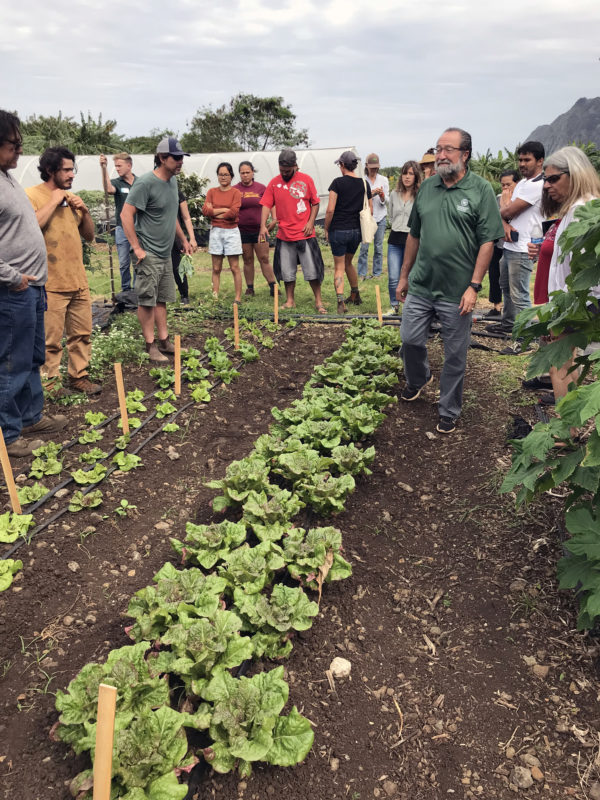 Supporting Hawaii's Growing Seed Movement Organic Seed Alliance