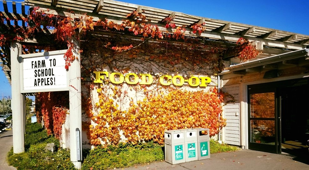 Business Member Spotlight The Food Coop Organic Seed Alliance