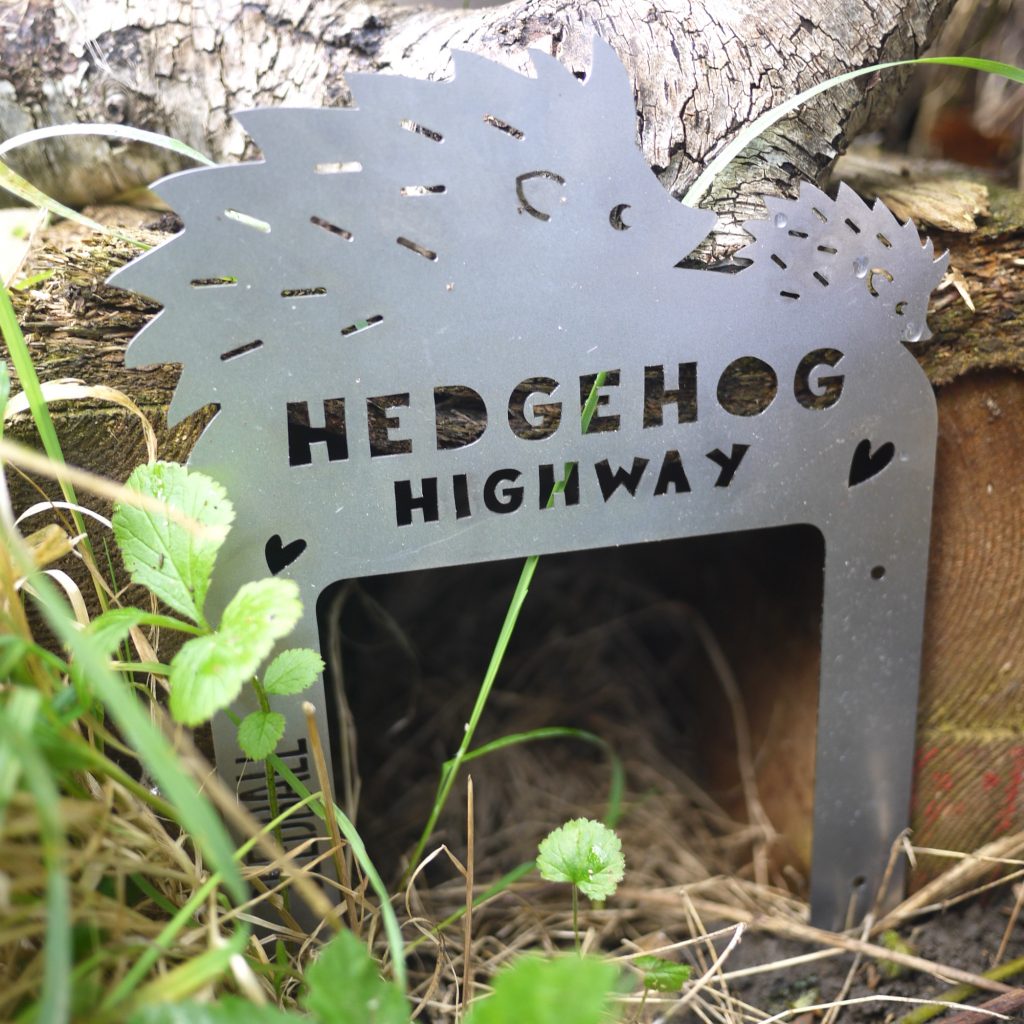 Hedgehog Highway Seedball