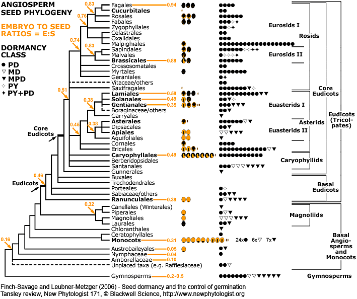The Seed Biology Place Seed Evolution
