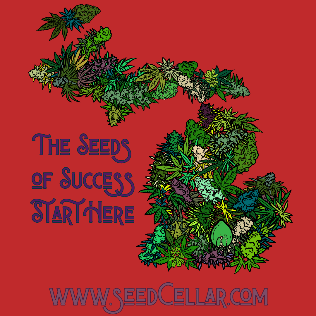 Buy Seeds Online from Seed Cellar for the Best Cannabis!