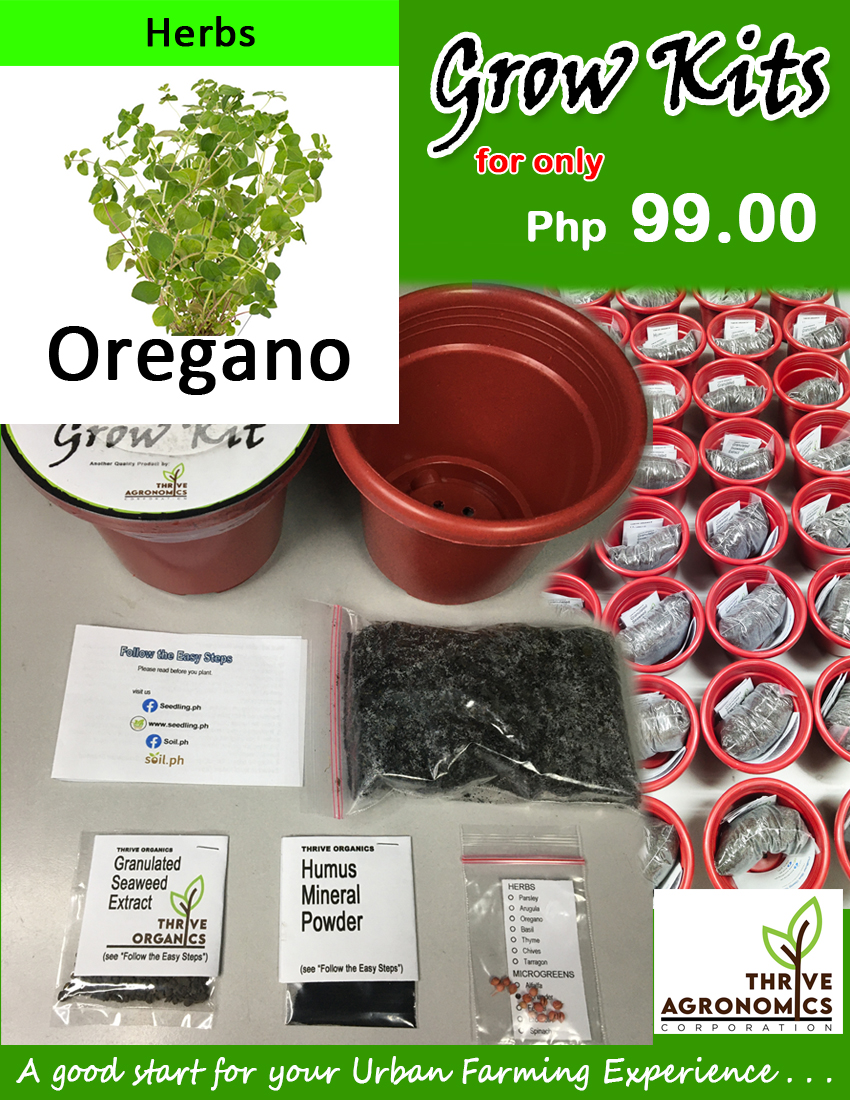 Grow Kit Giveaway Idea for Holidays Seedling Ph