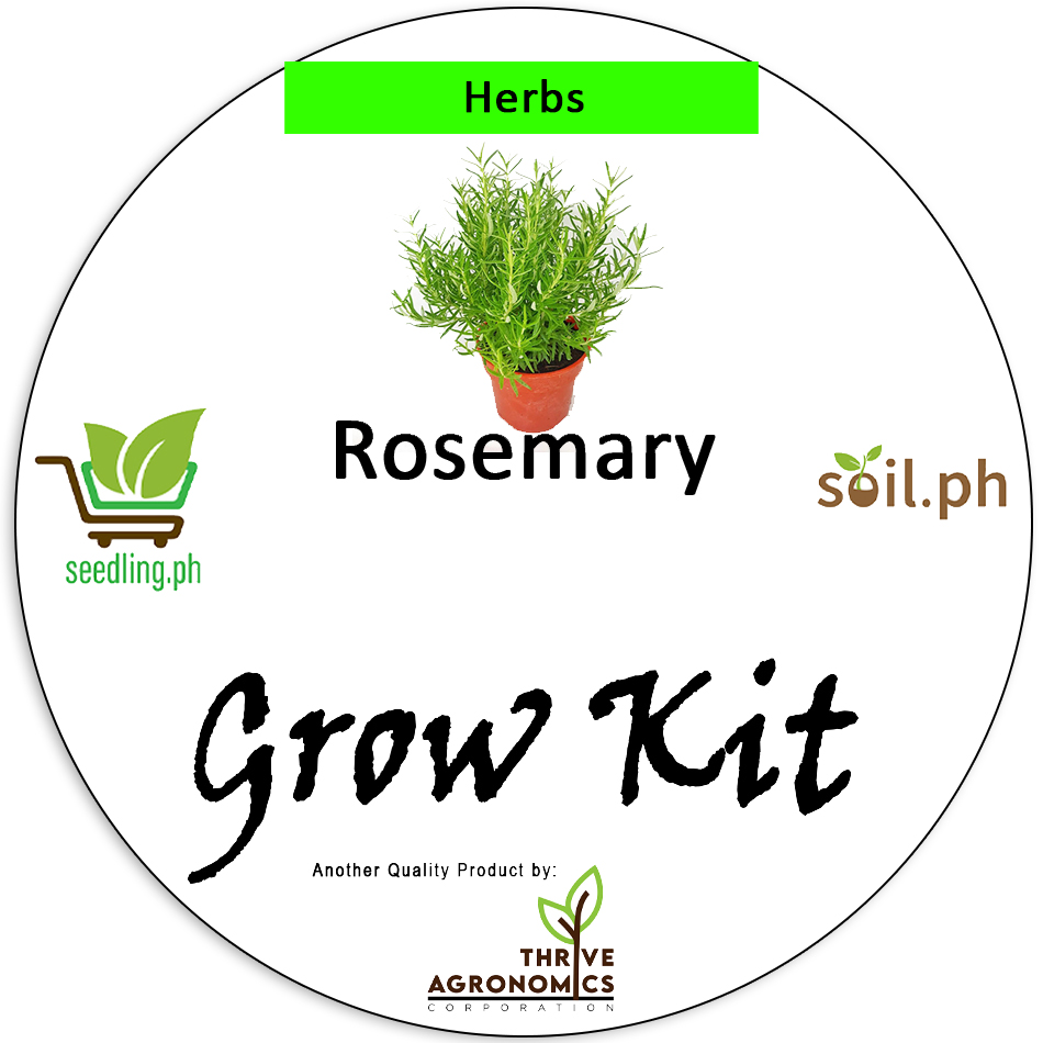 Thrive Organics Rosemary Herbs Grow Kit Seedling Ph