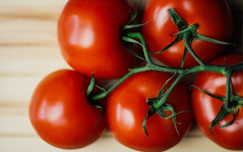 When To Plant Tomatoes In Indiana (& Dates For Different Areas)