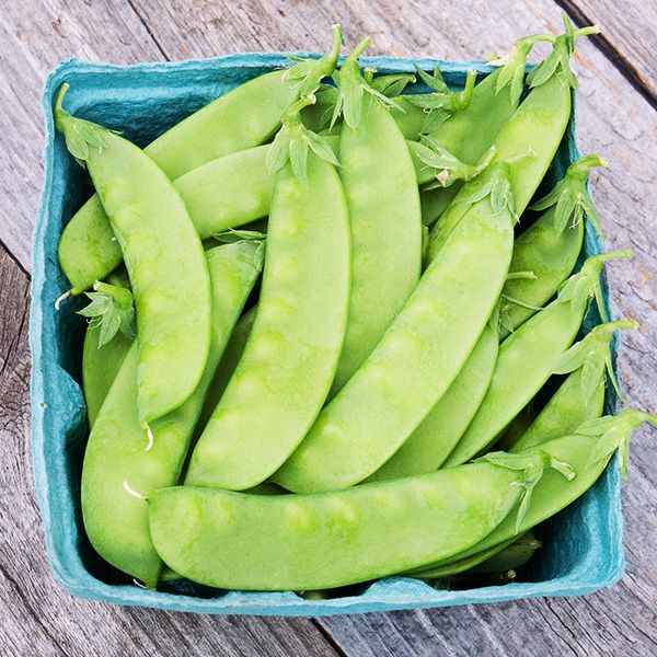 15+ of the Best Types of Peas You Can Grow (w/ Pictures)