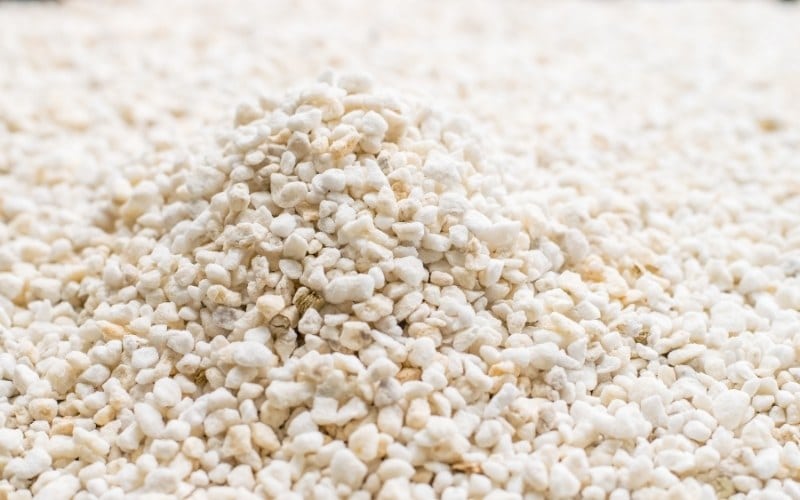 Perlite Vs. Vermiculite When to Use Each & When NOT to Use Them