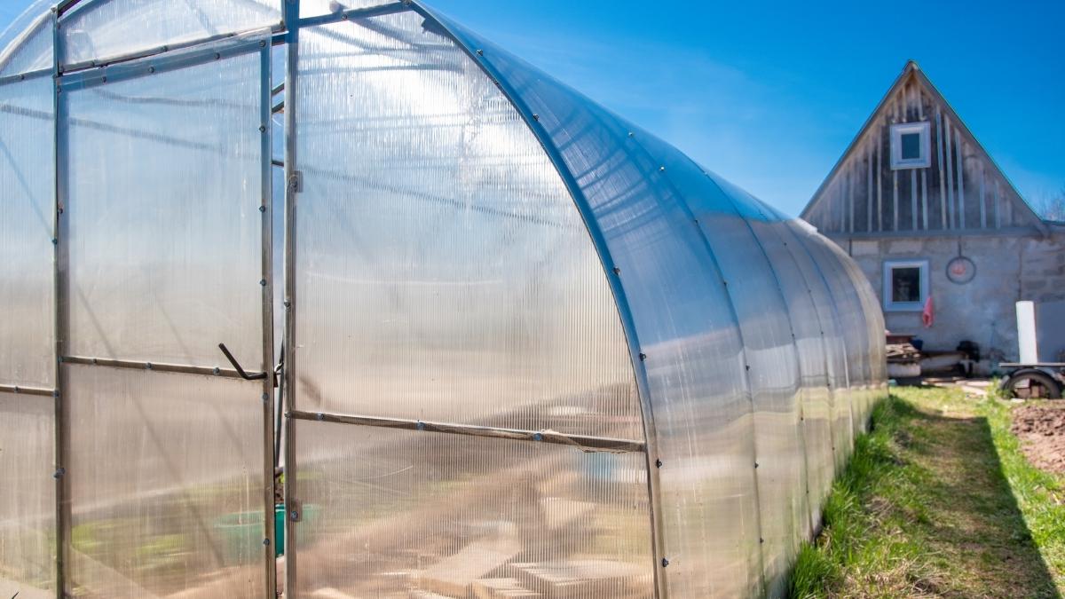 The Best Greenhouse Plastic in 2022 (& Buyer's Guide)