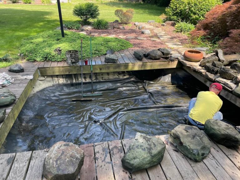 How to Clean a Pond (Without Draining It or Killing Your Fish)