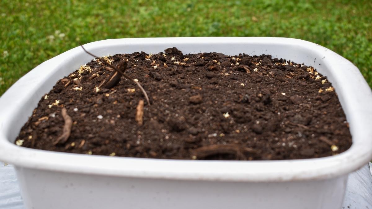 Does Potting Soil Go Bad? When Does It Expire?