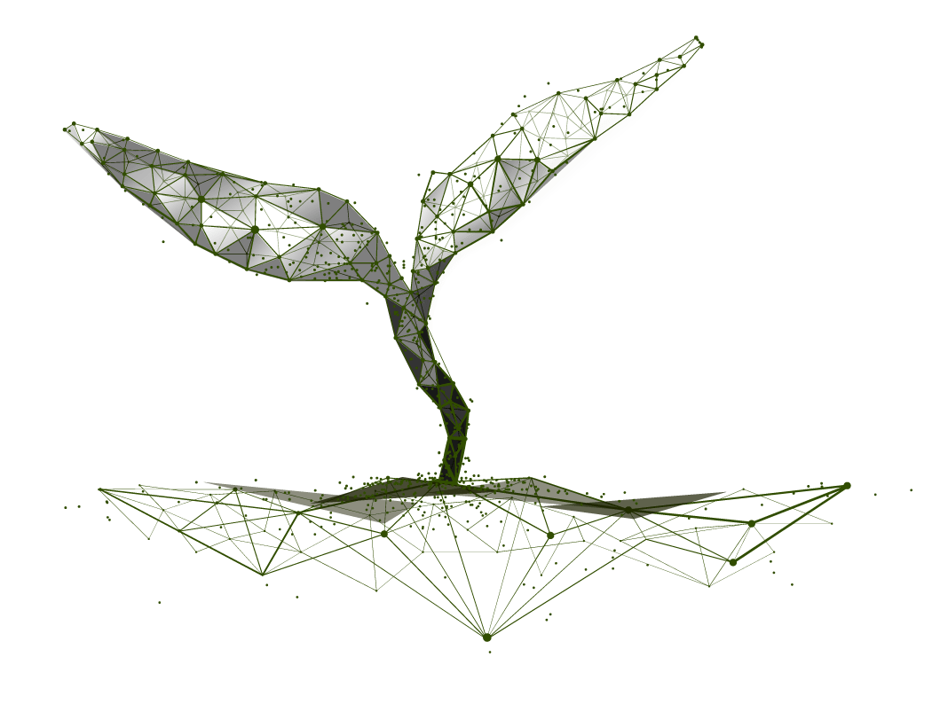 About Us Seed Science Foundation