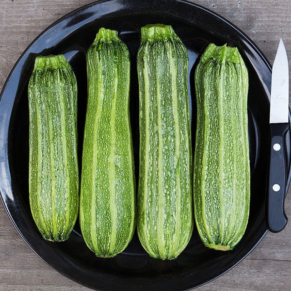 Summer Squash Costata Romanesco Seeds for Generations