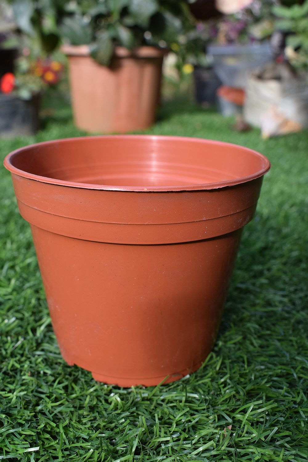 Round plastic 4 inch pots for cactus succulent seedlings for 15 rupee