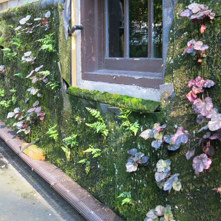 The Vertical Garden | Seeds of Design