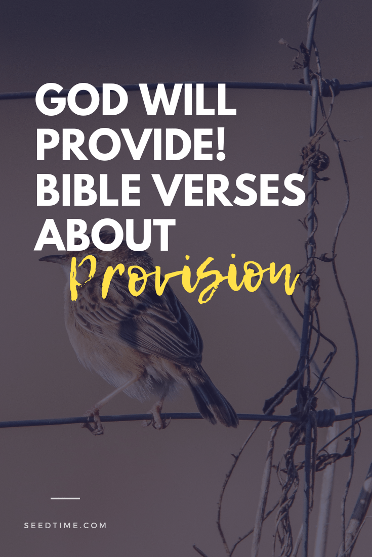 God will provide! Bible Verses about Provision