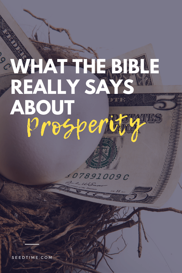 What the Bible really says about prosperity SeedTime