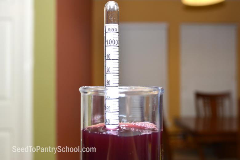 How To Use A Hydrometer For Brewing Beer, Wine And More Seed To