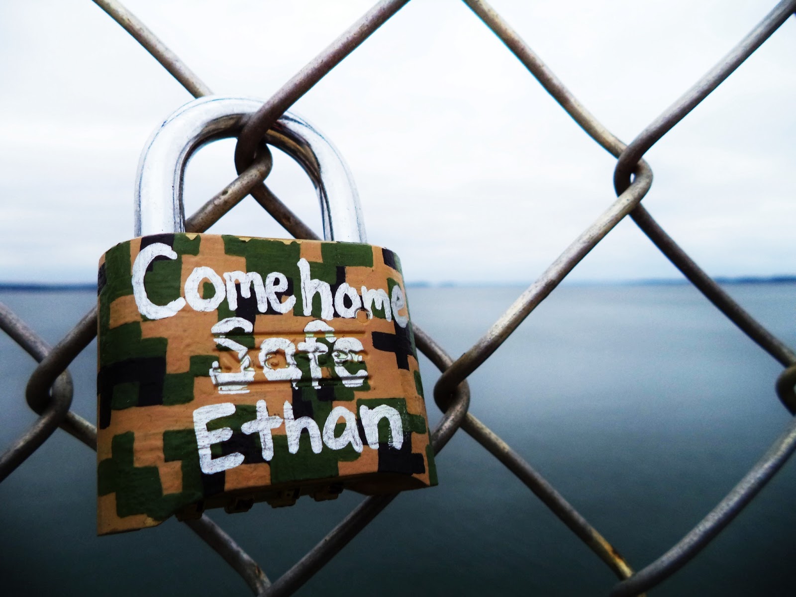 The Locks Of Lake Murray SeegarsInSC