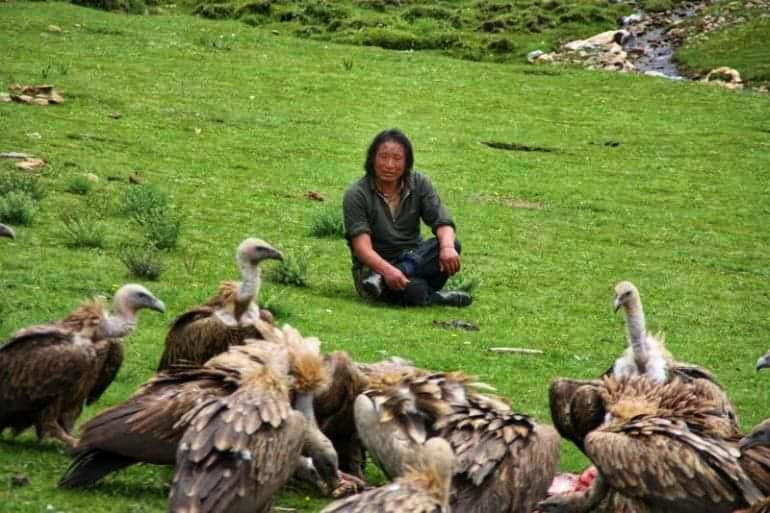 Sky burial SeeGore