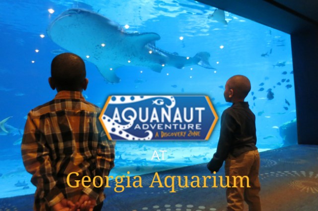 Georgia Aquarium new Aquanaut Adventure A Discovery Zone 