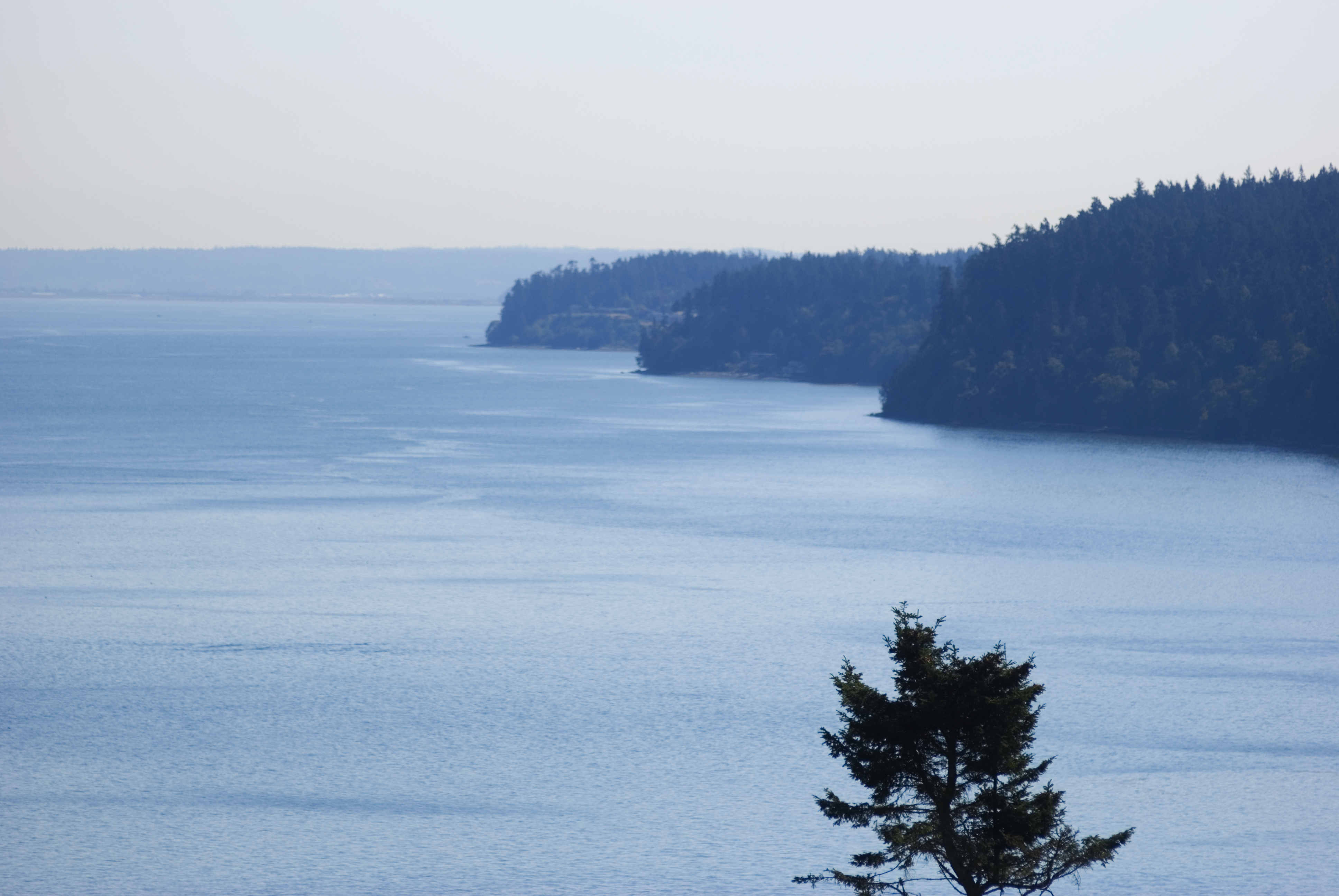 A Day Looking Northern Whidbey Island West Pacific Review