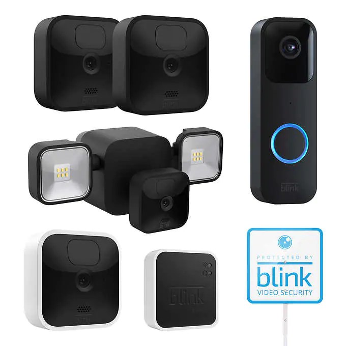 Blink Security Cameras Seek & Score