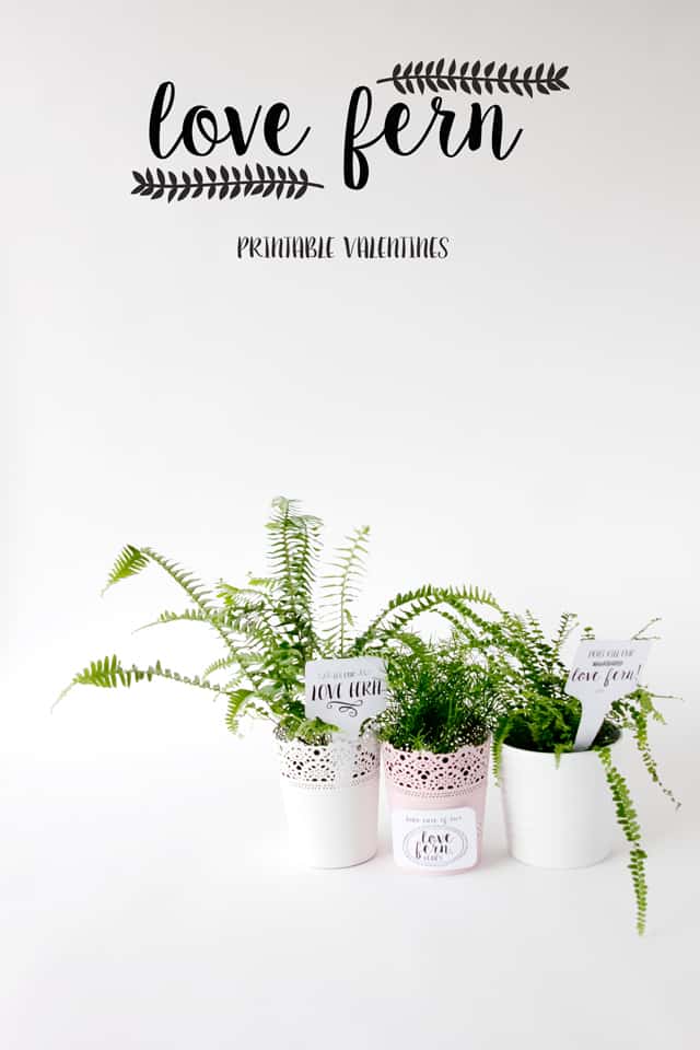 LOVE FERN valentine + printables see kate sew
