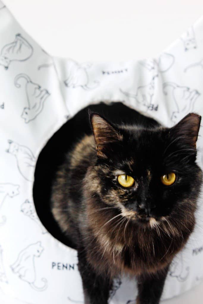 FREE Cat Bed Sewing Pattern see kate sew
