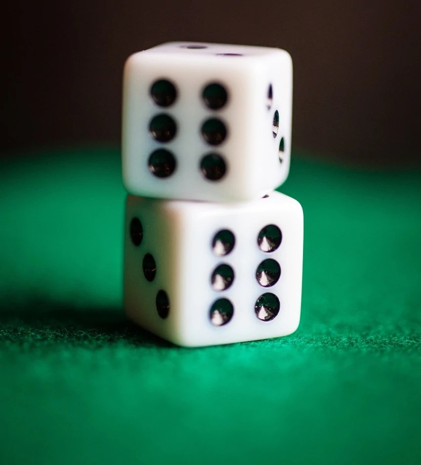 Rolling a Dice in Mathematics SeekersGuidance