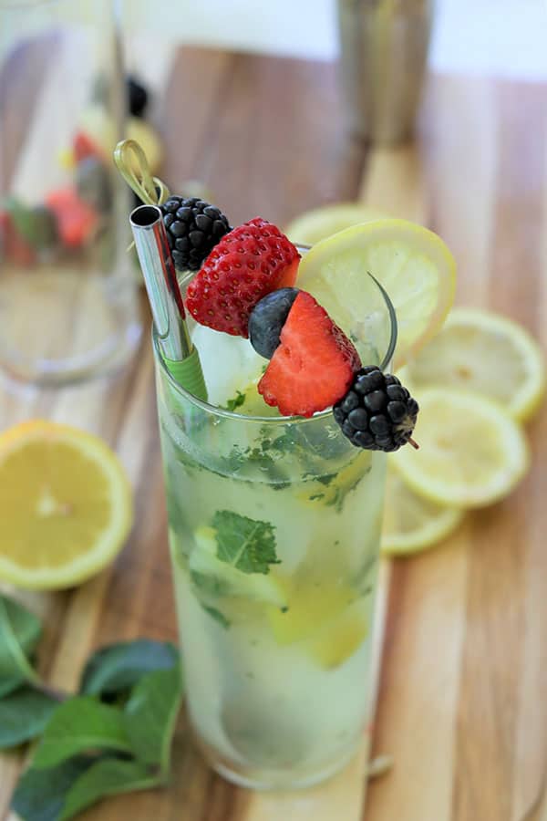Skinny Lemon Mojito (Sugar Free Keto Low Carb) Seeking Good Eats