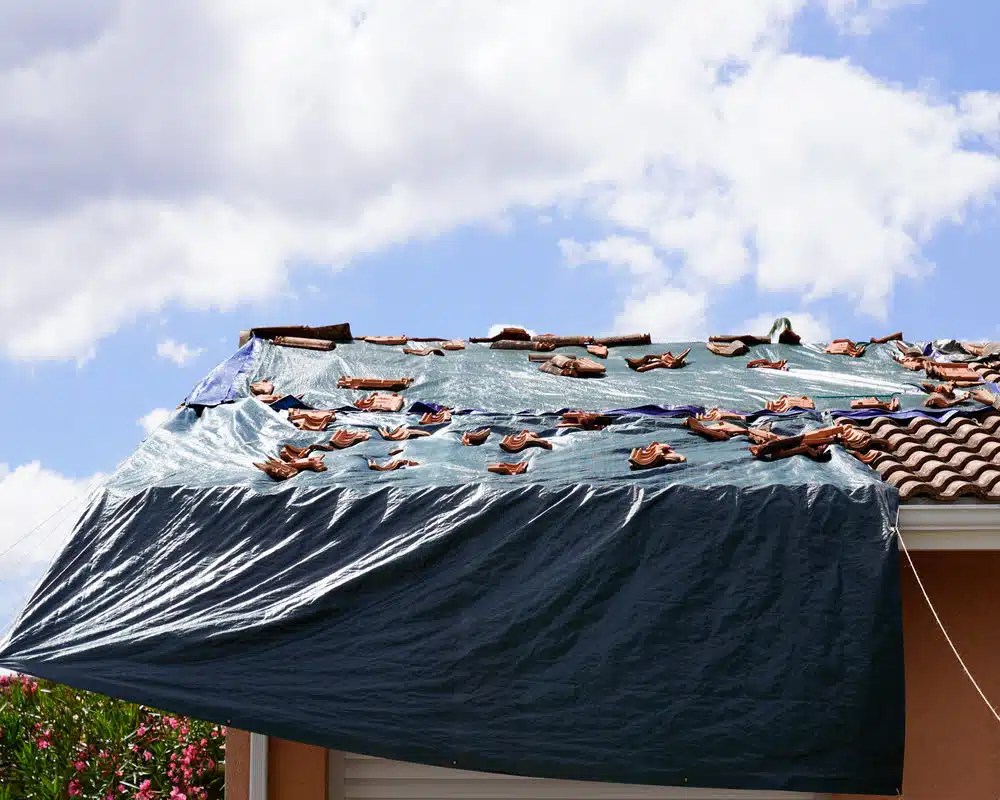 17 Sleeping Pad Alternatives for Your Outdoor Adventures Seeking Thrill