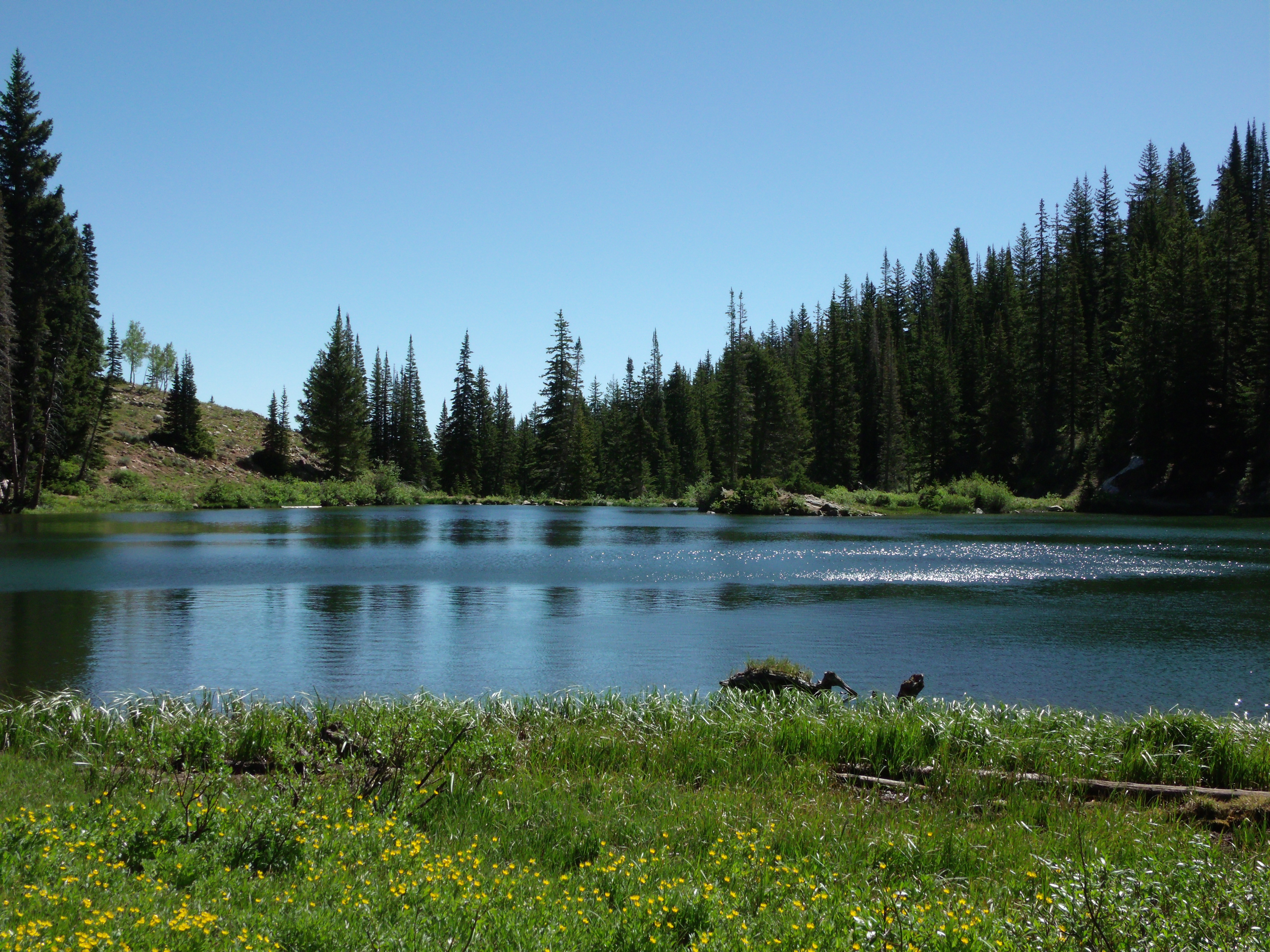 mountain lake Scott's Place...Images and Words