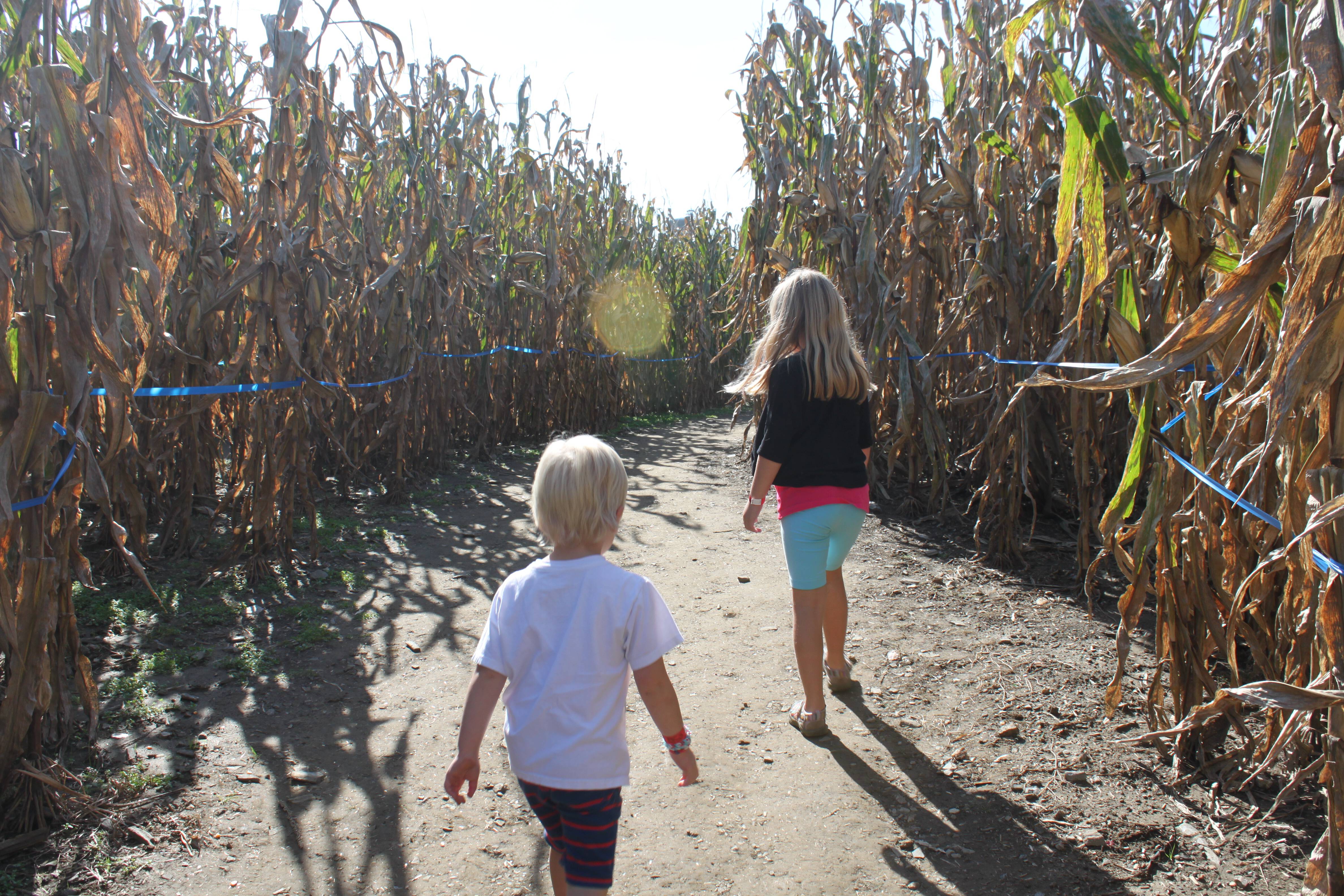 Cherry Crest Adventure Farm in Lancaster County SMC