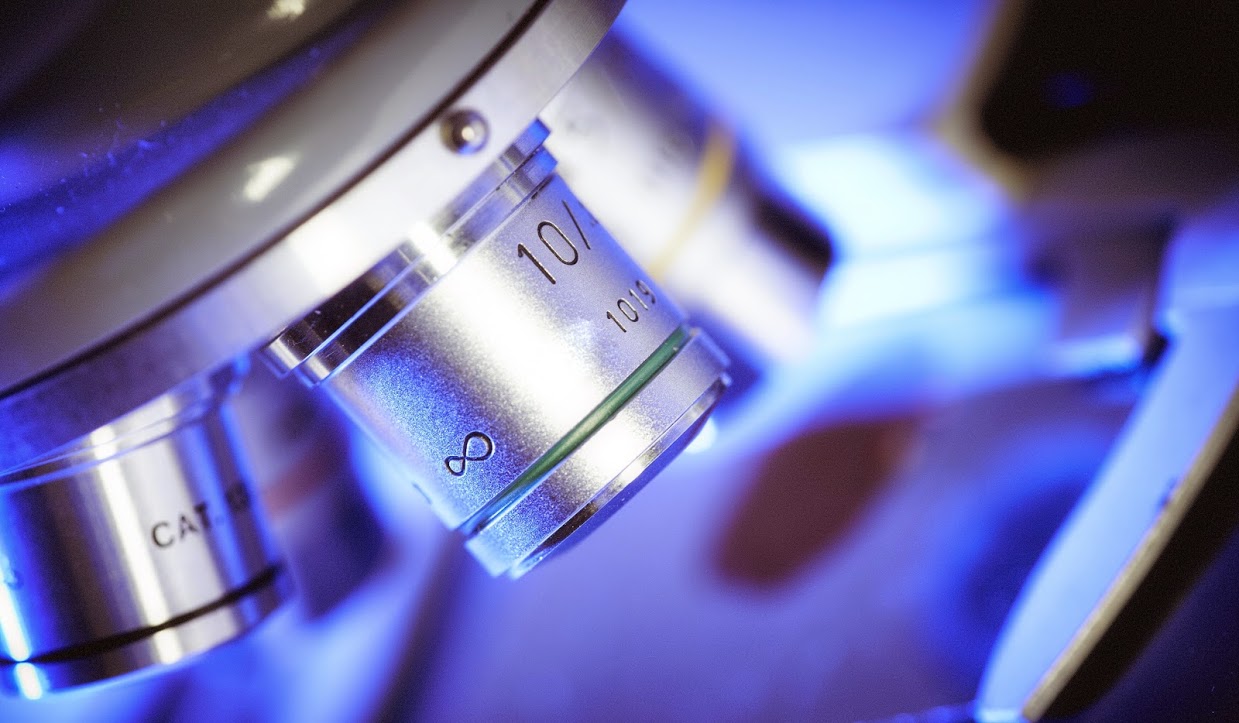 A Vitamin D Derivative Show Pancreatic Cancer Tumors Vulnerable to