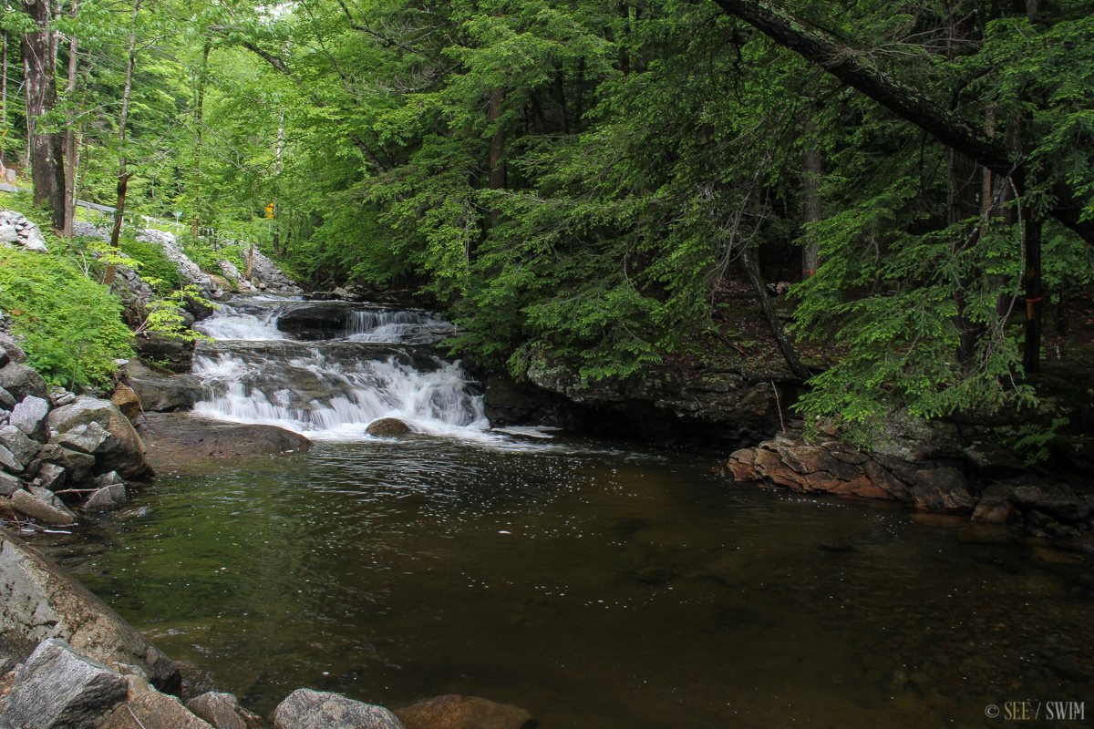 Trout Brook See Swim