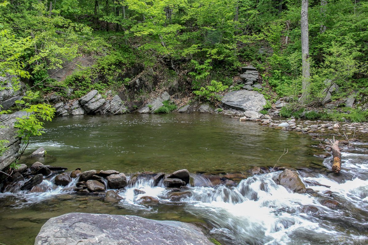 Washing Machine See Swim