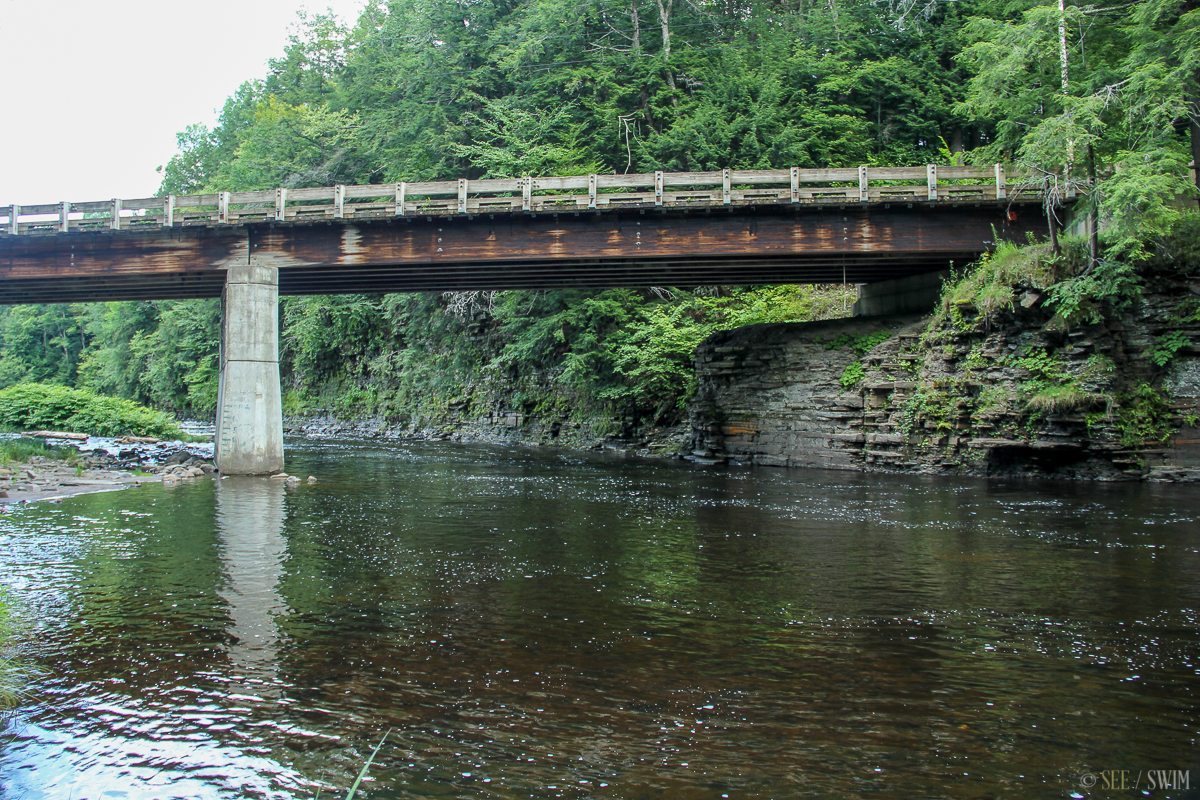 Point Rock See Swim