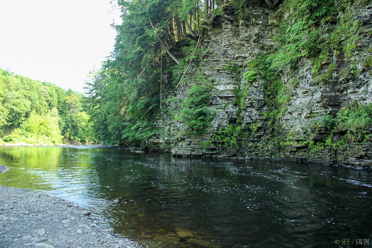 Point Rock See Swim