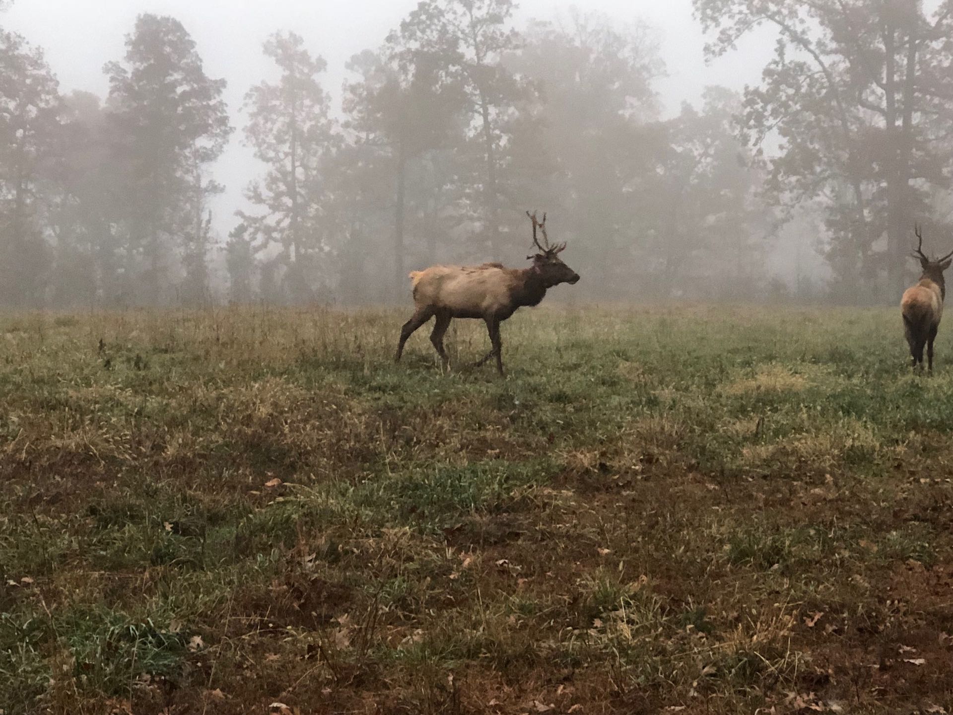 Peck Ranch Conservation Area See The Ozarks