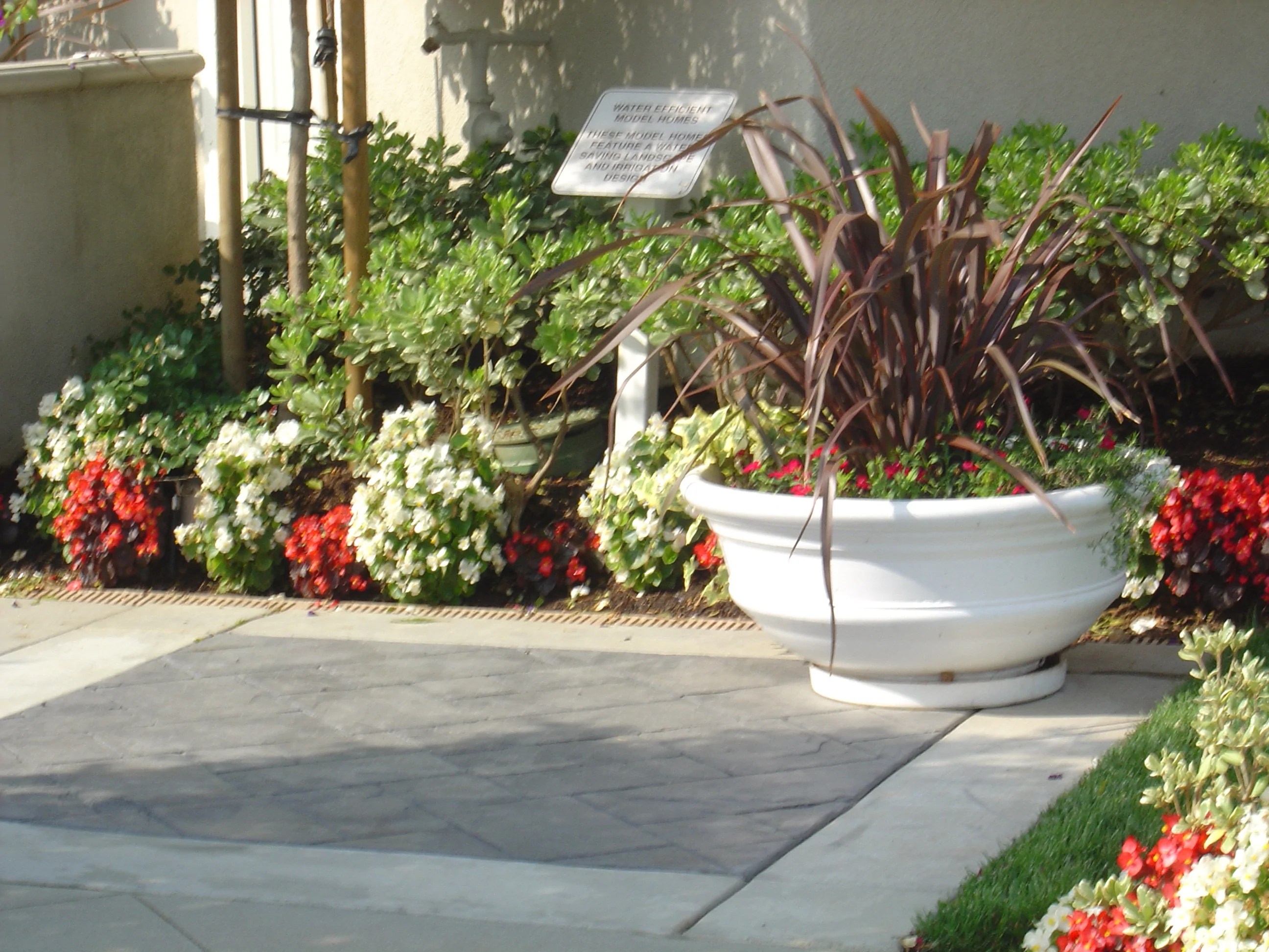 Citrus Ranch Mira Loma, CA [Warmington Homes] Segura Associates, Inc.