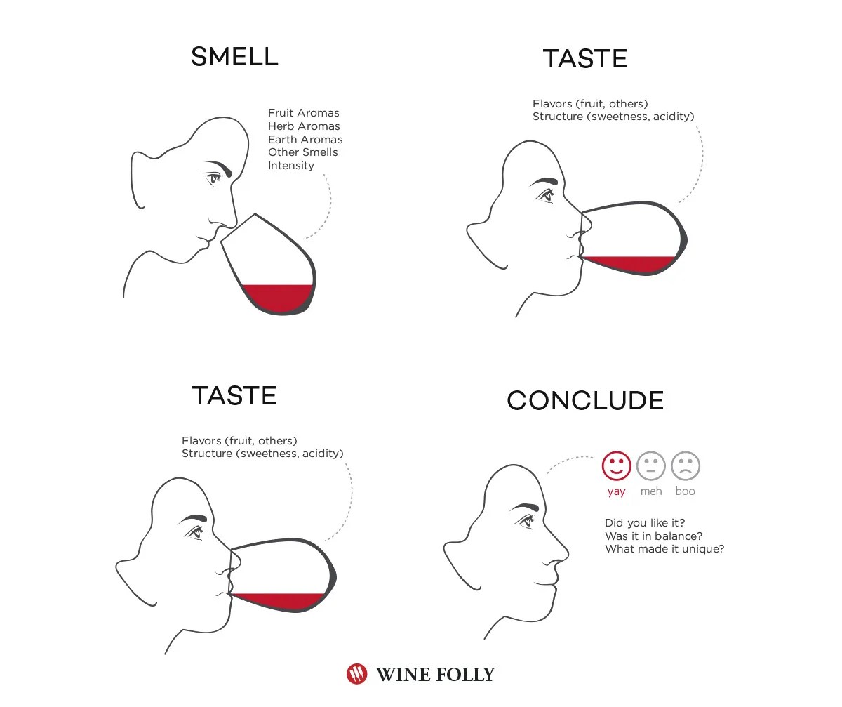 How and Why we Taste Wine. Champagne & Wines Segura Viudas