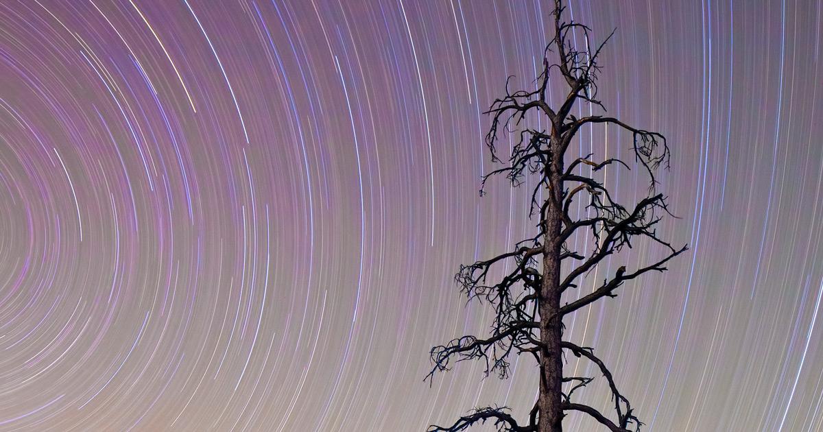 5 Rules for Perfectly Sharp Photos!