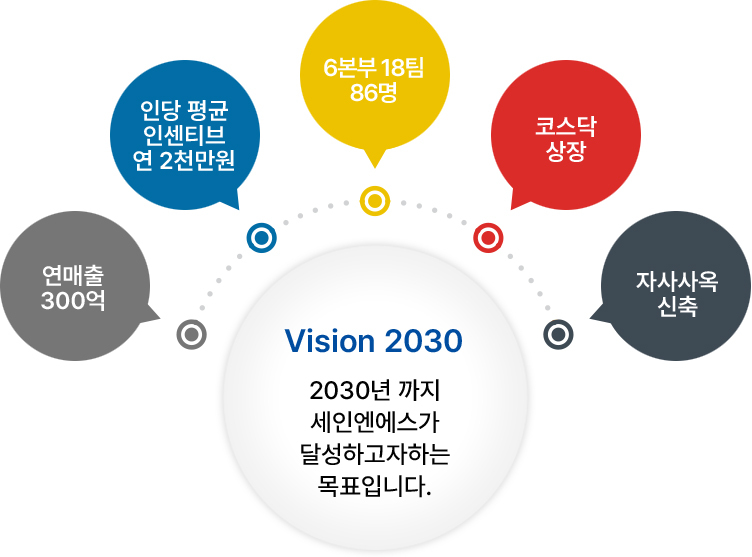 VISION 2030 세인엔에스