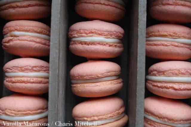 Pink vegan macarons in a box