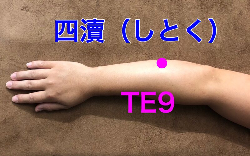 耳鳴り・難聴を改善】ブーンという低音ならこのツボ刺激が有効！「耳こすり」のやり方｜ケンカツ！ ツボ解説】四瀆（しとく）Te9 〜コリを緩めるツボ │ 大泉井頭針灸院・整骨院