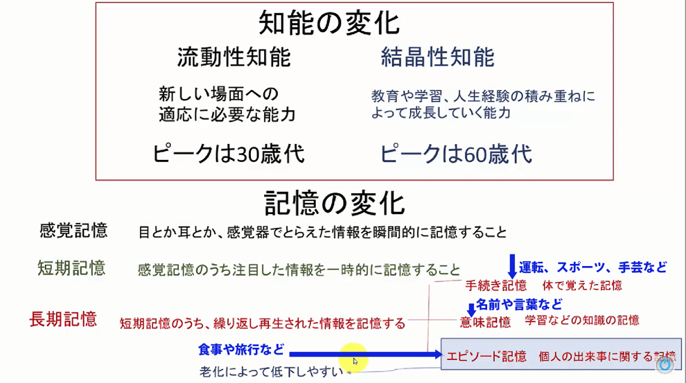 介護士試験32 発達と老化の理解 カフェ 世界食堂
